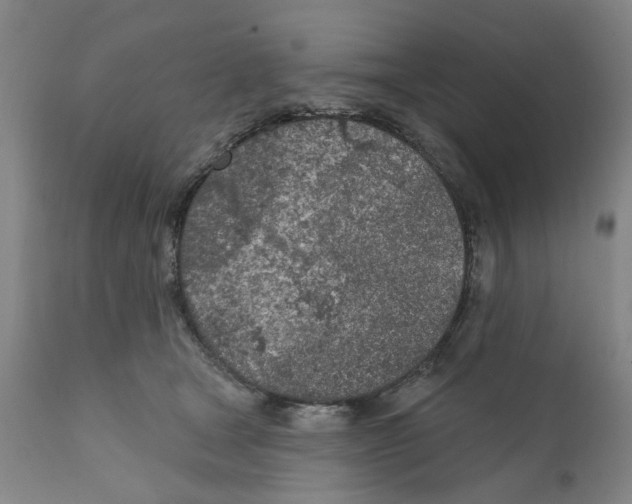 X0000111130465200907211118