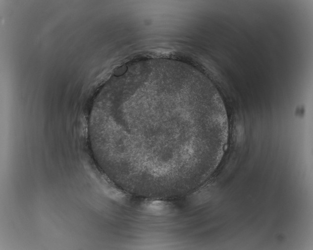 X0000111130467200907211118