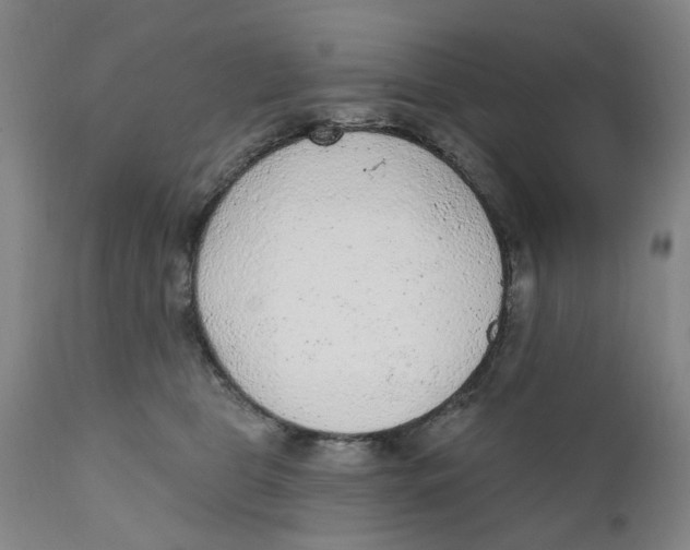 X0000111130469200907211118