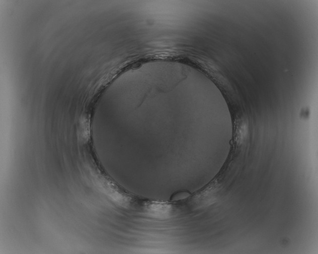 X0000111130471200907211119