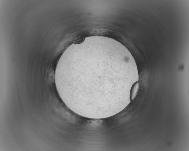 X0000111130474200907211119