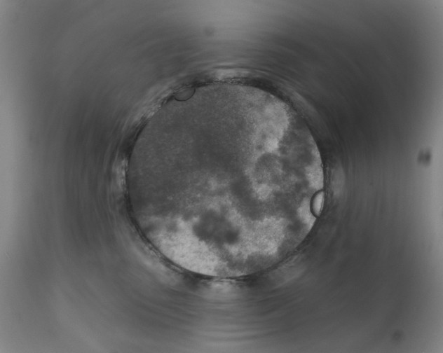 X0000111130475200907211119