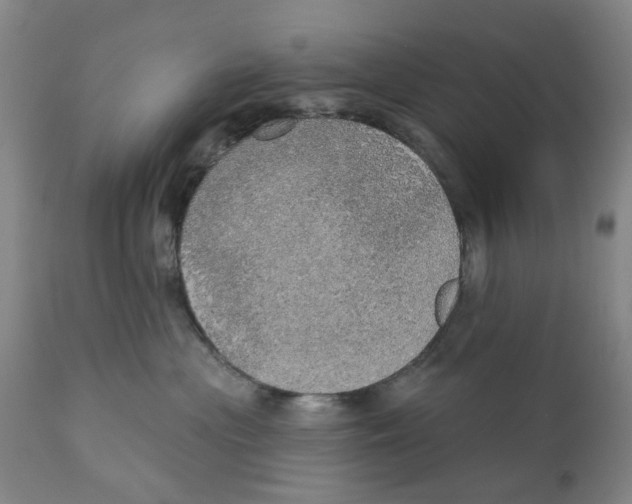 X0000111130477200907211119