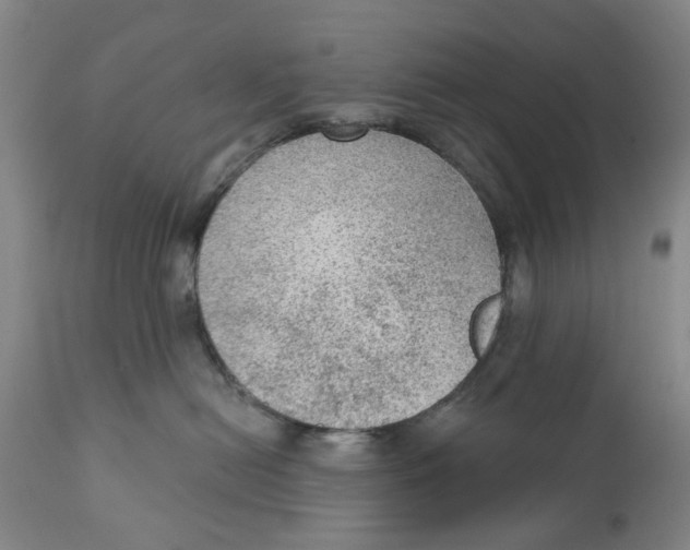 X0000111130478200907211119