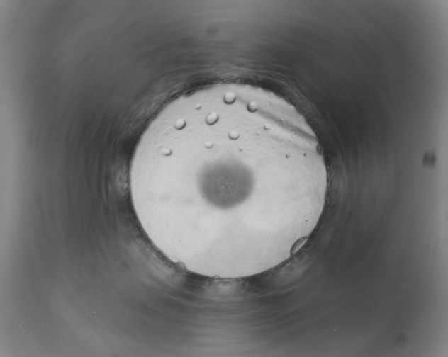 X0000111130479200907211119