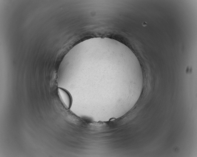 X0000111130480200907211119