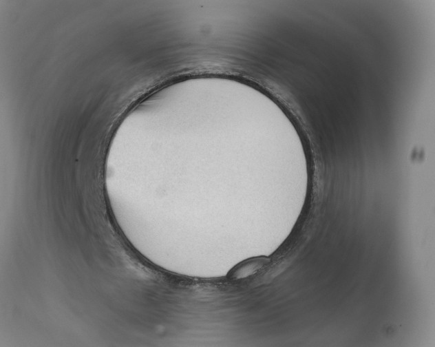 X0000111130481200907211118