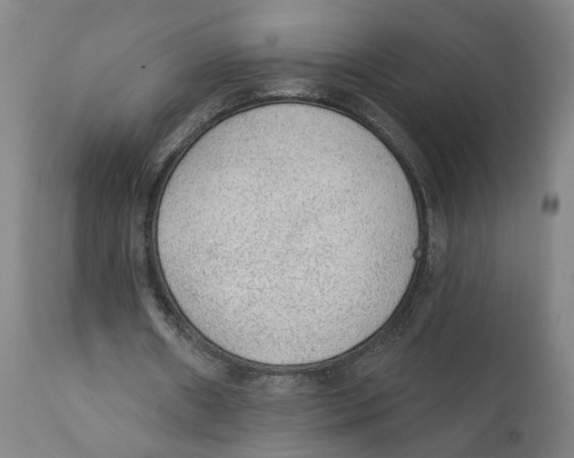 X0000111130482200907211118
