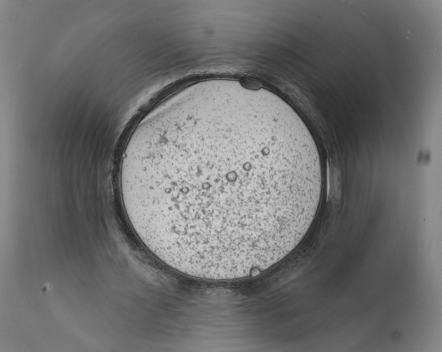 X0000111130483200907211118