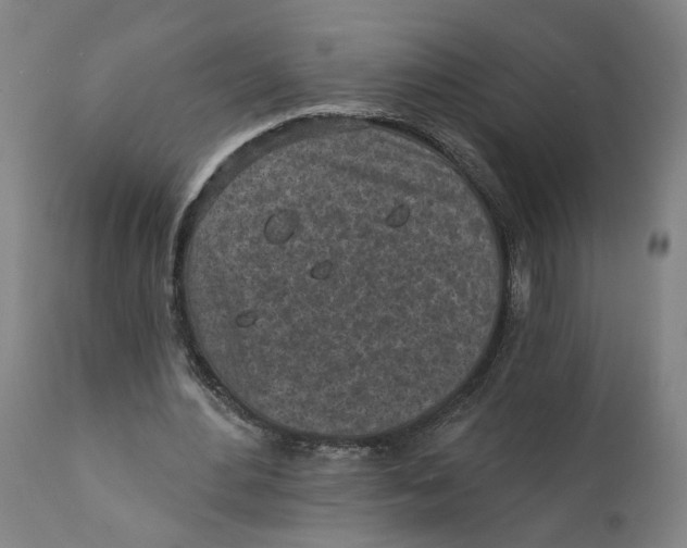 X0000111130484200907211118