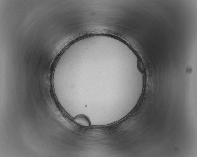 X0000111130485200907211118