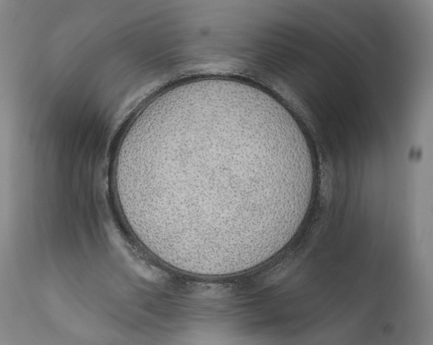 X0000111130486200907211118