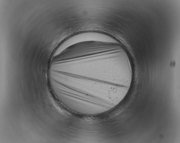 X0000111130489200907211118