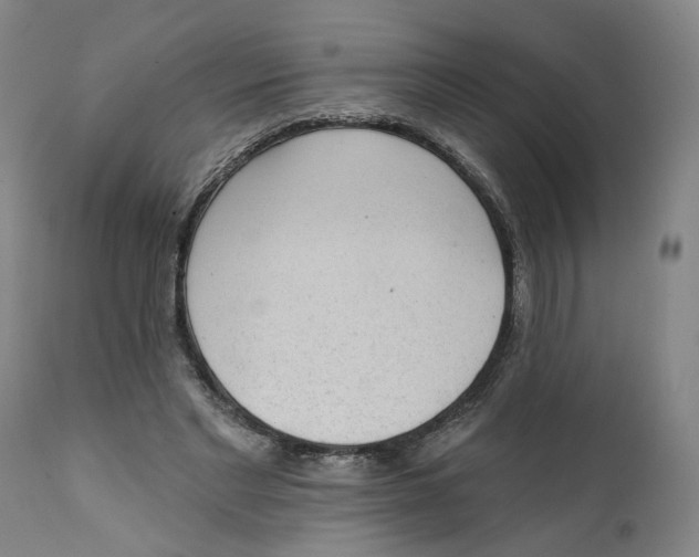 X0000111130493200907211118