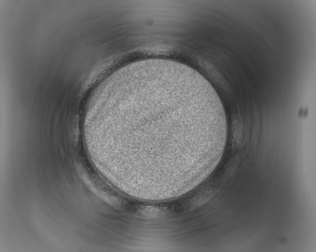 X0000111130494200907211118