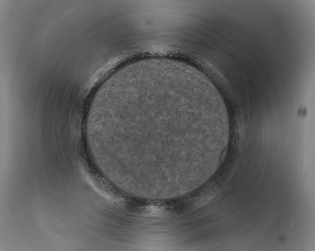 X0000111130496200907211118