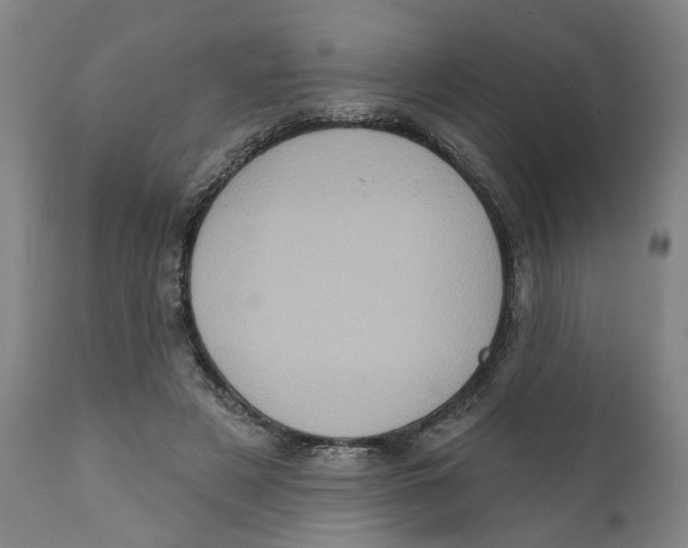 X0000111130497200907211118