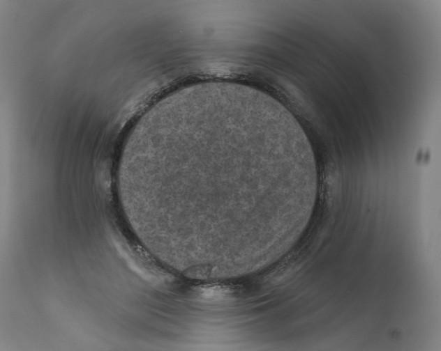 X0000111130500200907211118