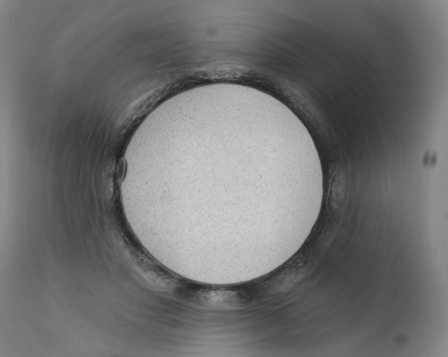 X0000111130501200907211118