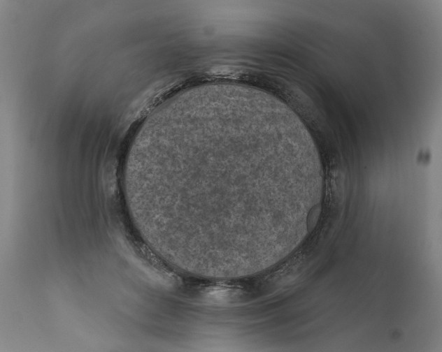 X0000111130504200907211117