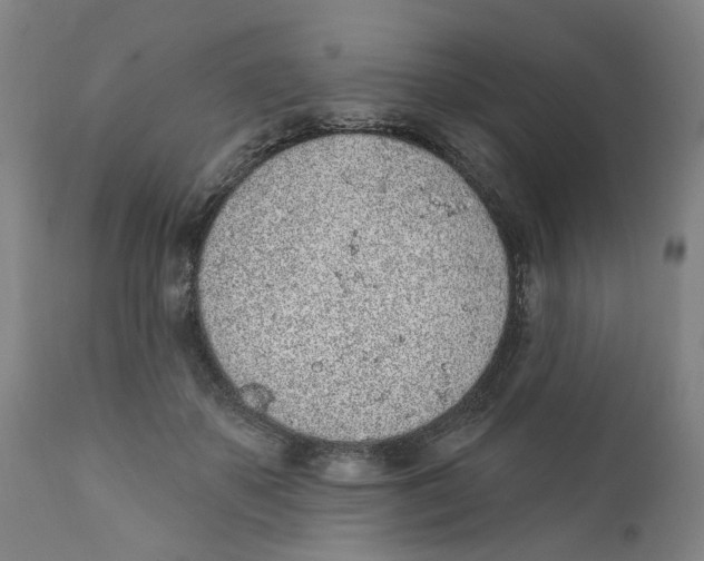 X0000111130507200907211117