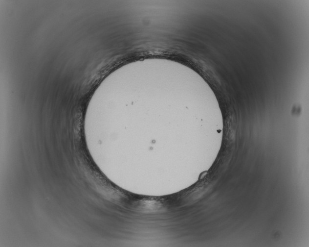 X0000111130509200907211117