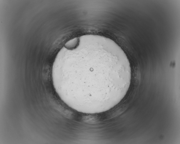 X0000111130511200907211117