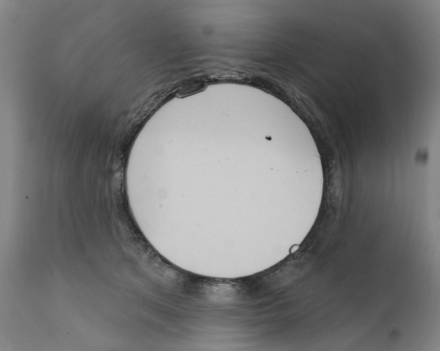 X0000111130513200907211117