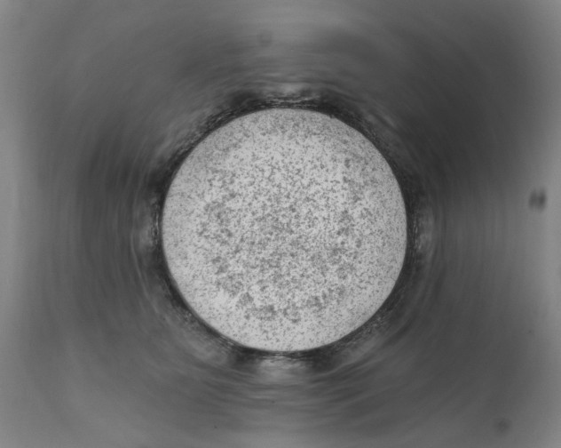 X0000111130515200907211117