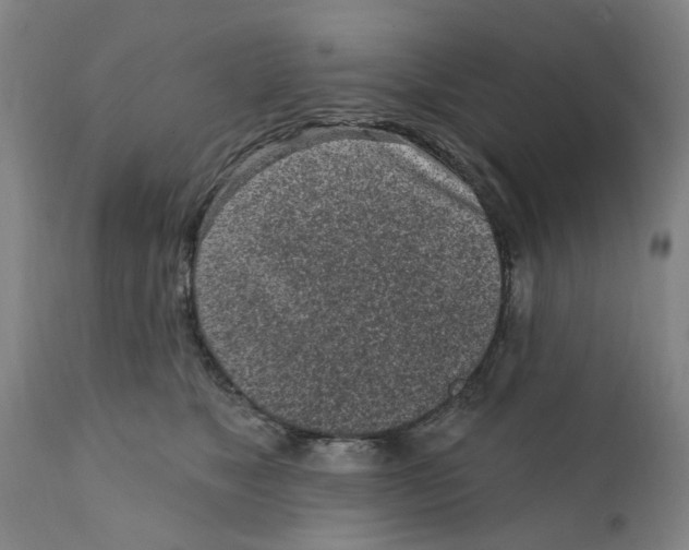 X0000111130517200907211117