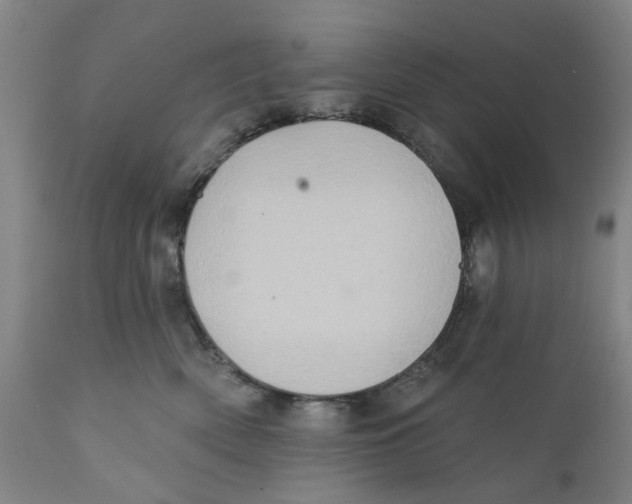 X0000111130522200907211117