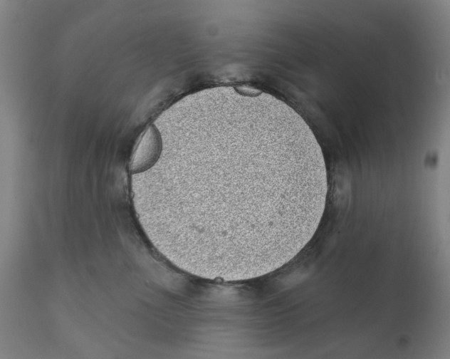 X0000111130523200907211117