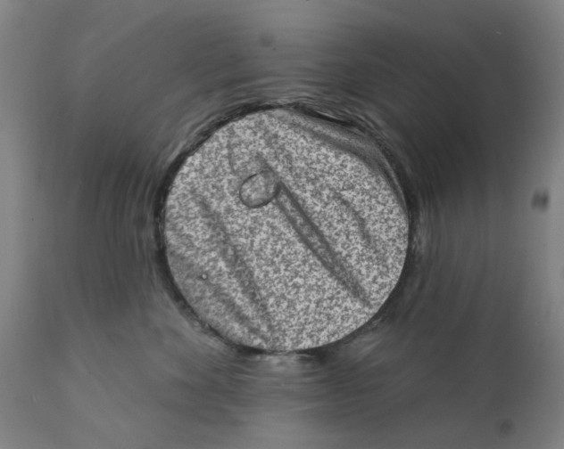 X0000111130524200907211117