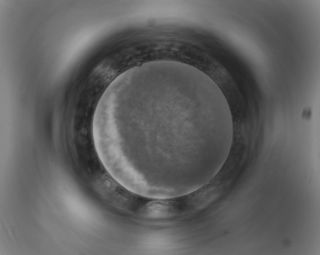 X0000111130526200907211117
