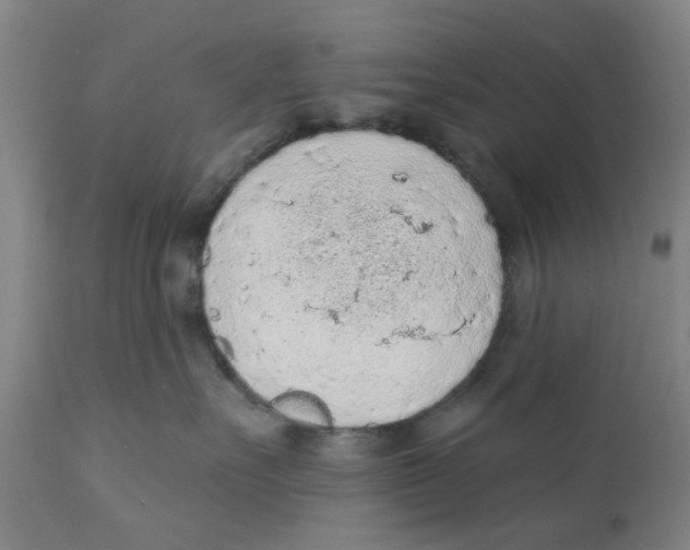 X0000111130527200907211117