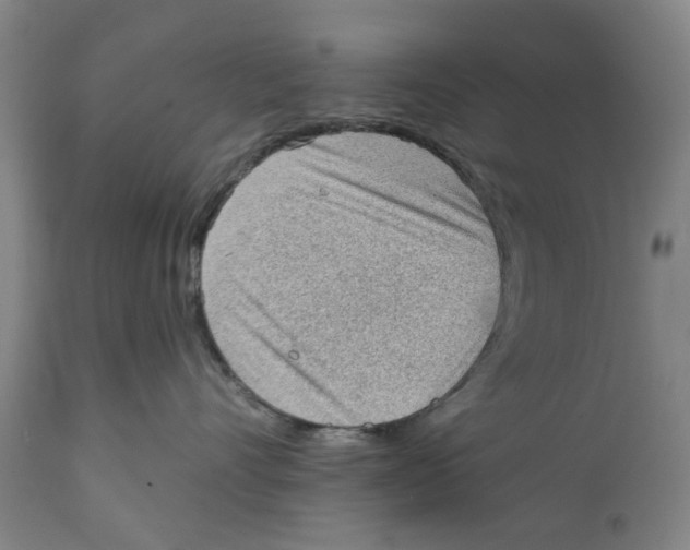 X0000111130528200907211117