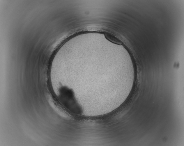 X0000111130530200907211116