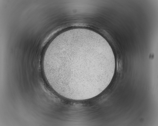 X0000111130531200907211116