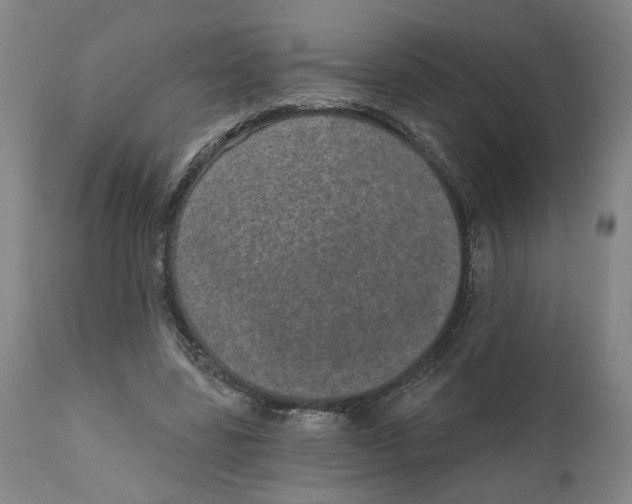 X0000111130539200907211116