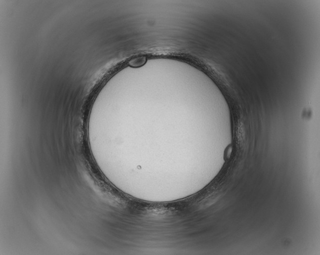 X0000111130540200907211116
