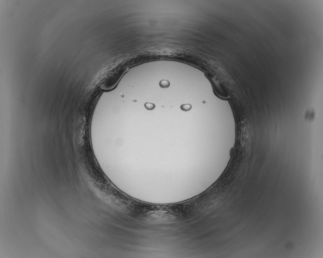 X0000111130544200907211117