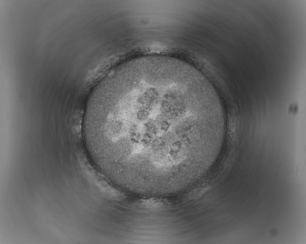X0000111130545200907211117