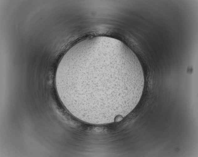 X0000111130546200907211117