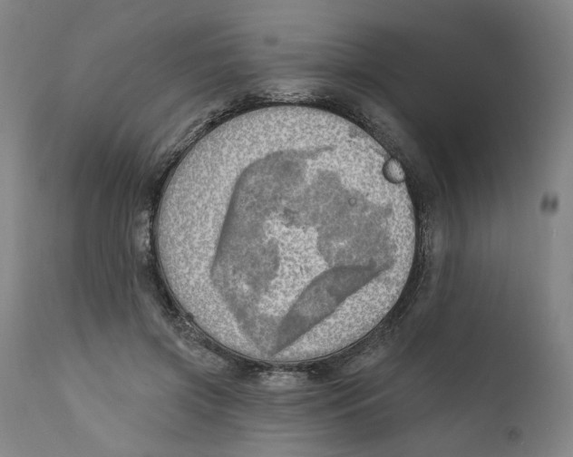 X0000111130549200907211117