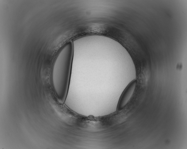 X0000111130552200907211117