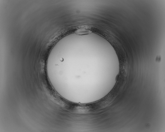 X0000111130556200907211117