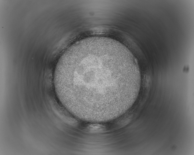 X0000111130557200907211117