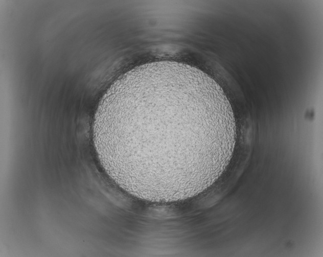 X0000111130561200907211117