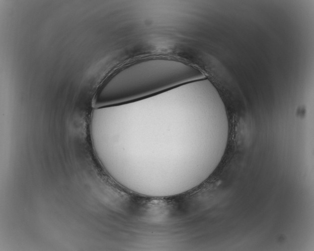 X0000111130562200907211117