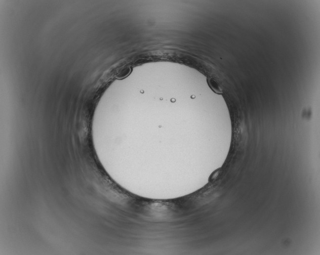 X0000111130566200907211117